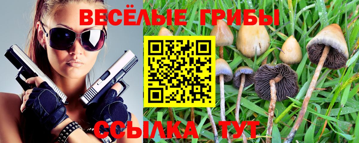 Псилоцибиновые грибы Psilocybe Кушва