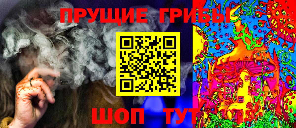 Кушва  Галлюциногенные грибы Psilocybine cubensis  Вход с VPN 